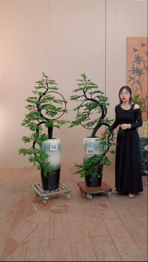 【闪购链接】一对链接