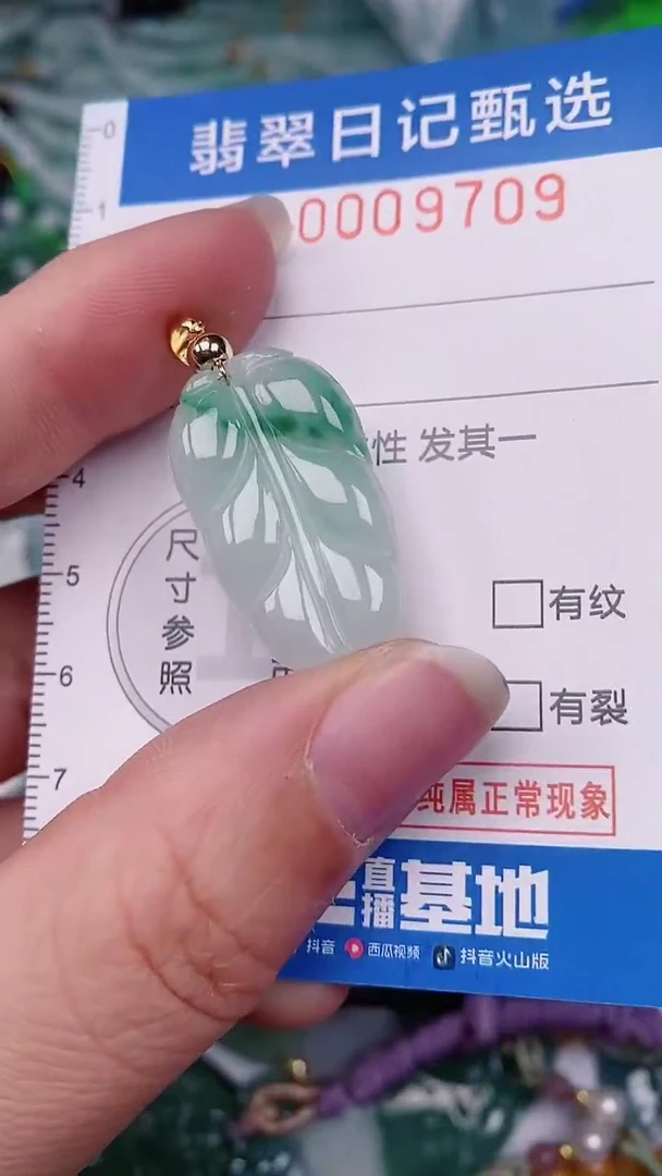 【闪购商品】翡翠颈饰未镶嵌00009709