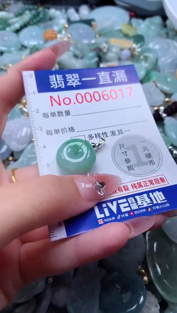 翡翠未镶嵌吊坠(不含链)6017