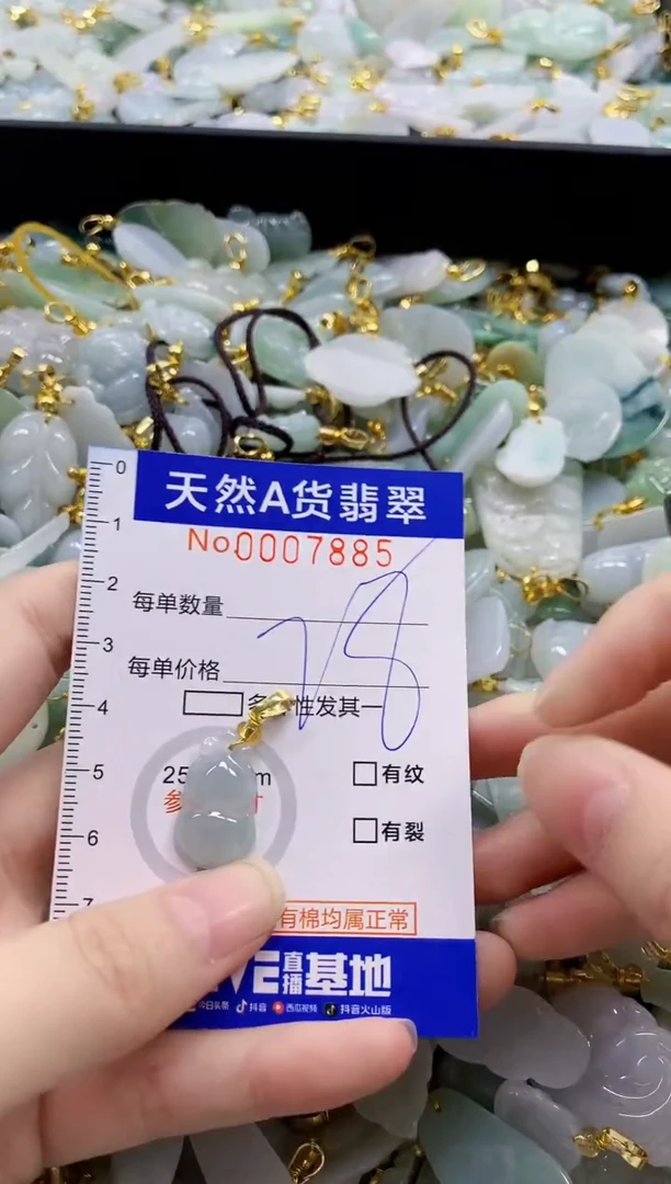 颈饰未镶嵌翡翠纯天然a货翡翠