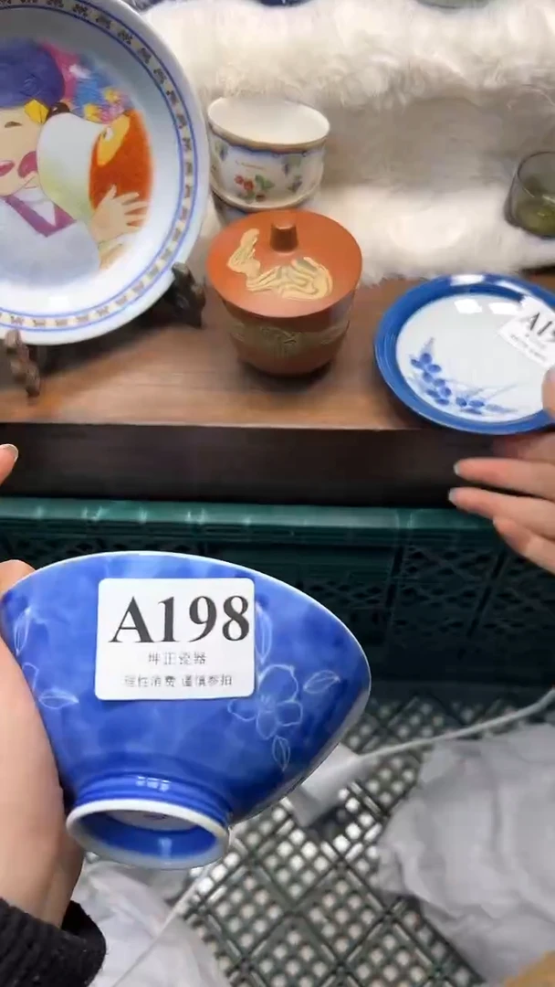 【闪购商品】瓷片             A198