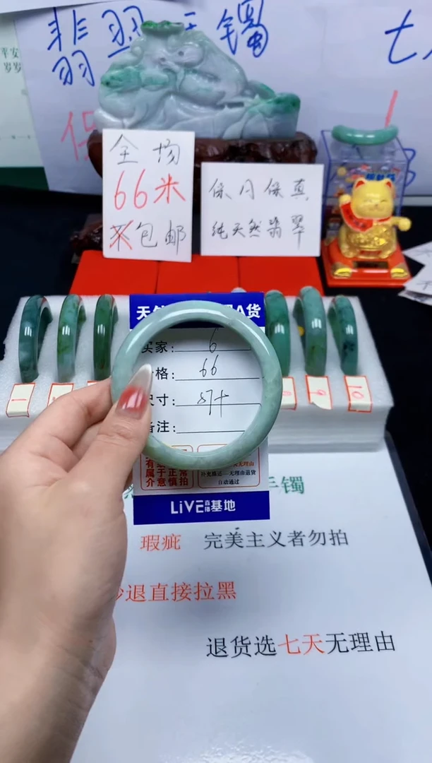 未镶嵌手镯翡翠6