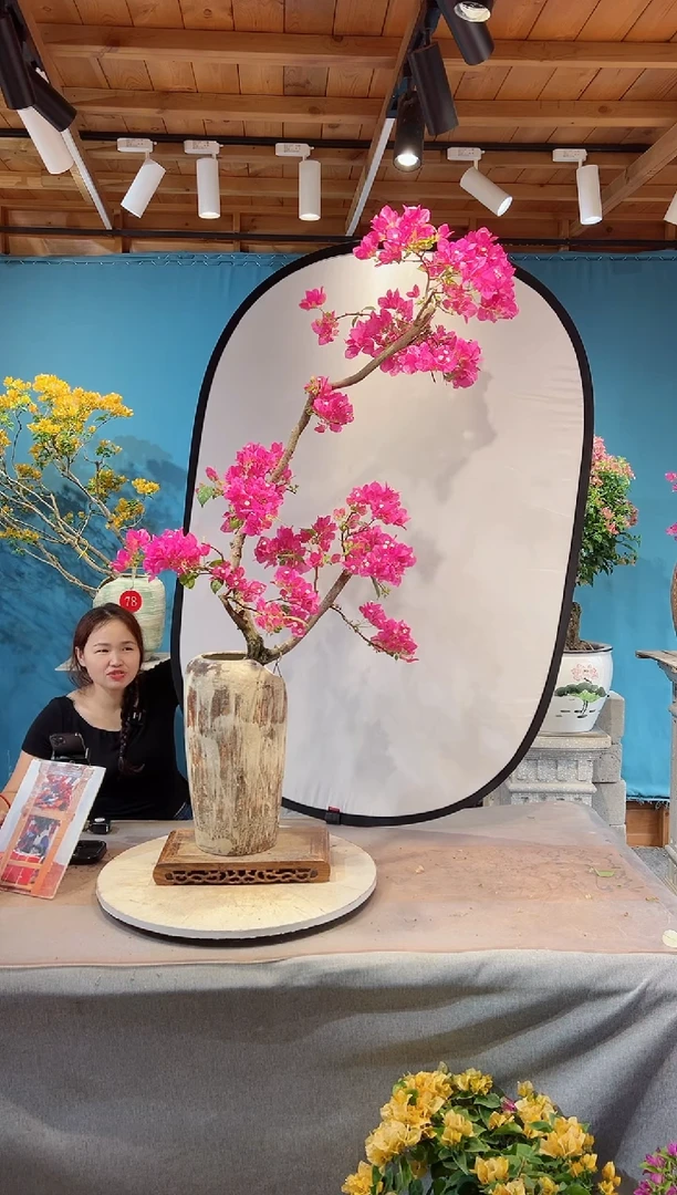 全部花苞金心双色