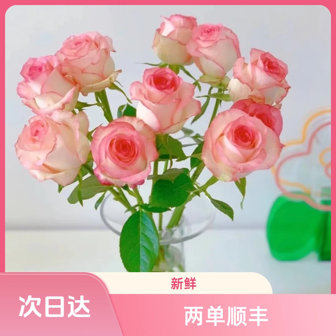 【艾莎玫瑰】两单顺丰包邮 三单送花瓶 常州家居鲜花 批发/直播 江浙沪皖次日达