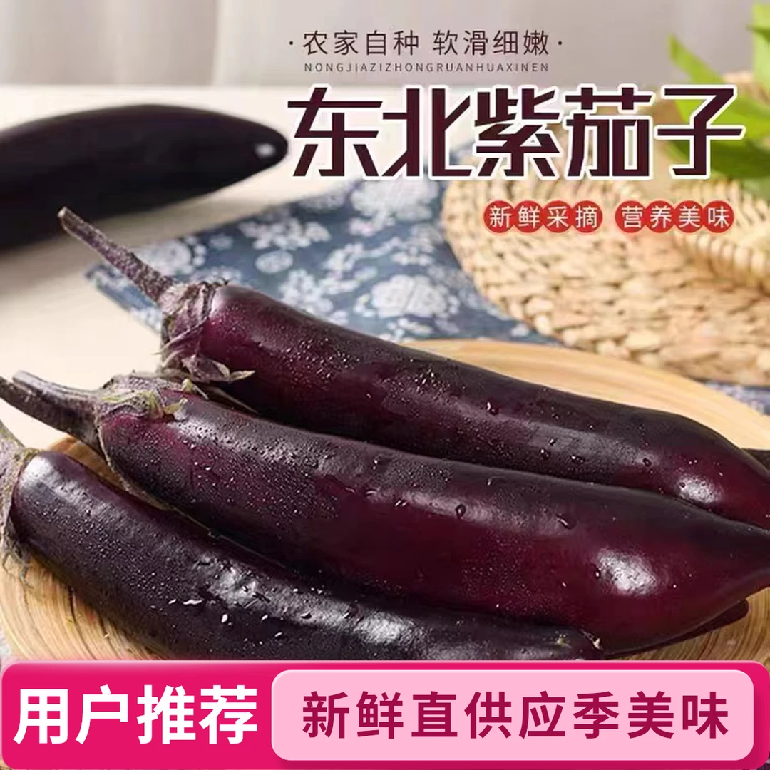 吉林农家自种紫库茄子软烂可口