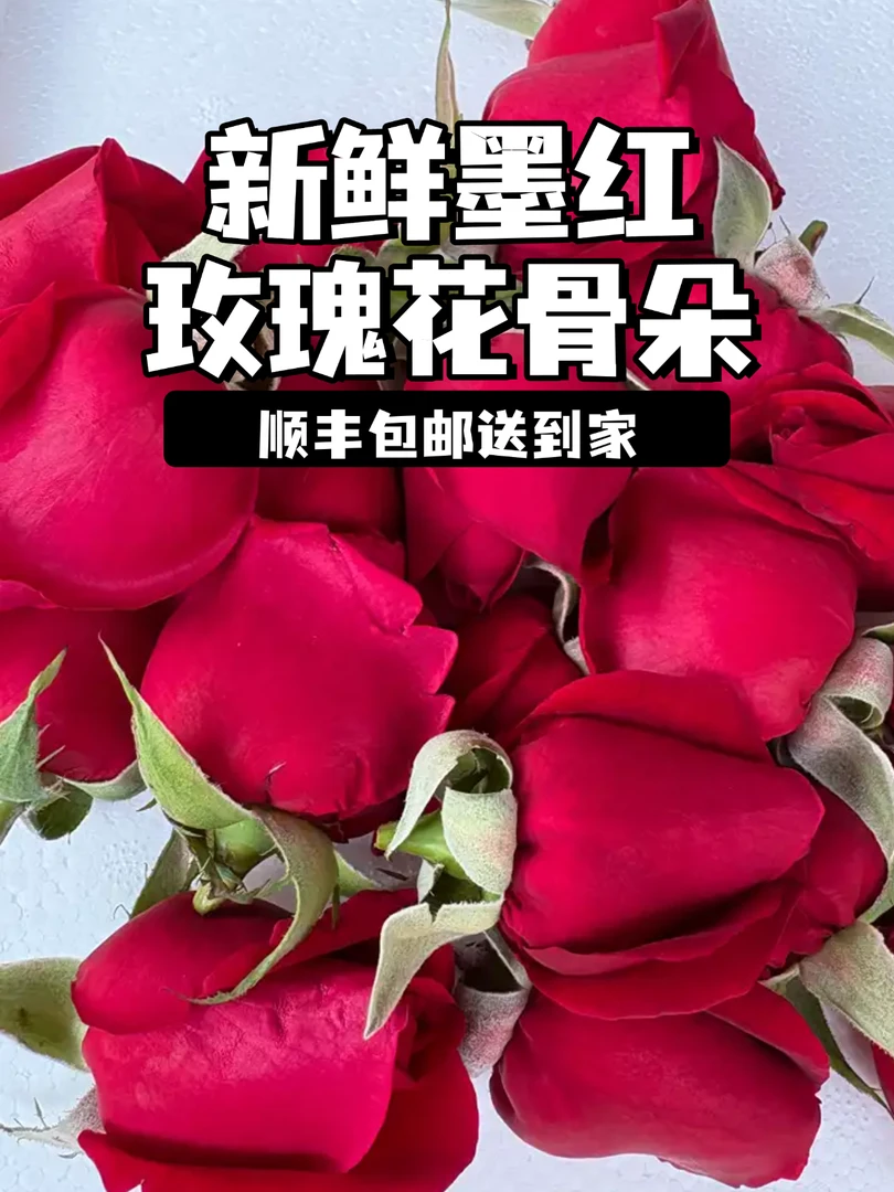 【顺丰速运】云南弥勒新鲜重瓣墨红玫瑰花苞可做玫瑰醋酱酵素泡酒茶