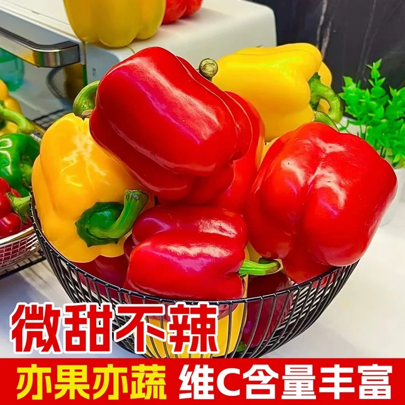现摘新鲜水果彩椒五彩灯笼甜椒七彩辣椒太空青椒寿光新鲜蔬菜包邮