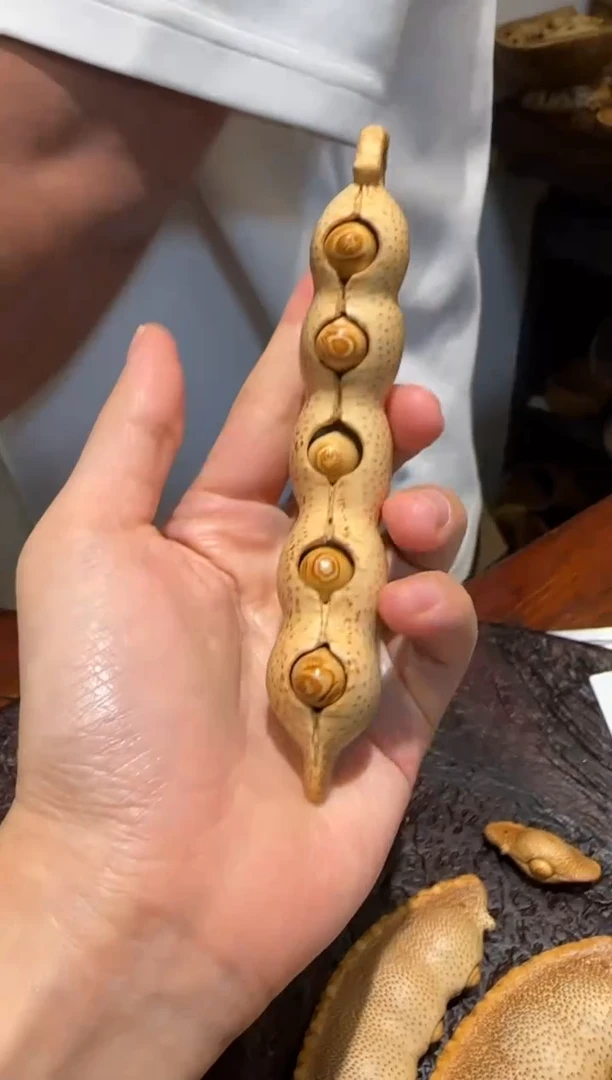 【闪购商品】竹1496竹根竹根竹根四季豆