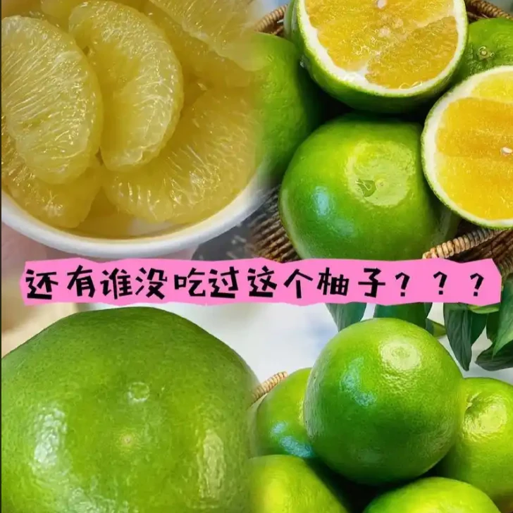 恐龙蛋绿宝石福青皮柚6粒 S级福建省福建省