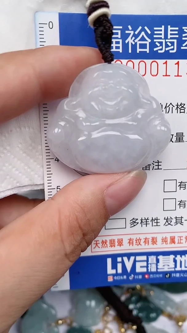 翡翠未镶嵌颈饰...0000113