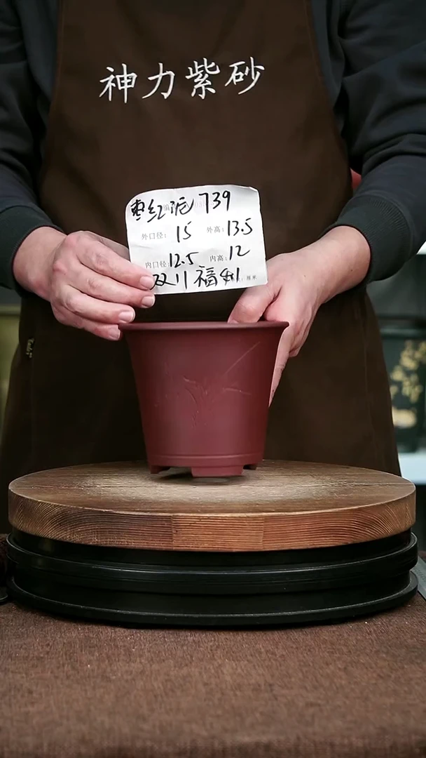 紫砂花盆花卉园艺739