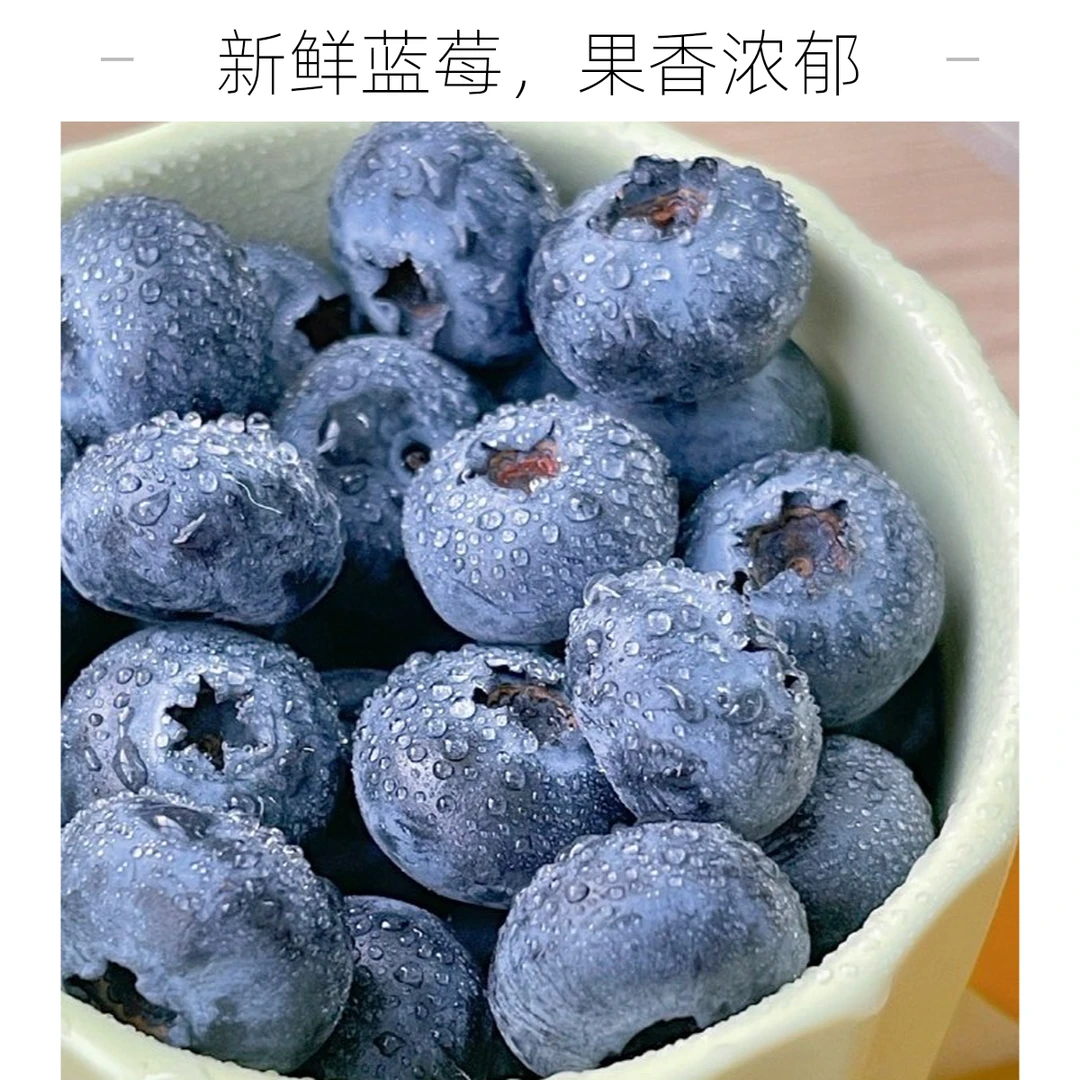 云南山地蓝莓24mm(125g)云南蓝莓河南省洛阳市