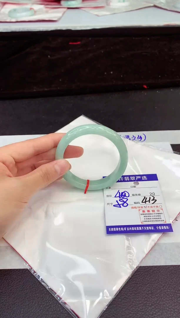 未镶嵌手镯翡翠1