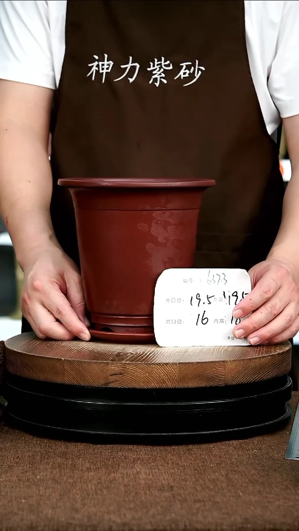 紫砂花盆花卉园艺6373+Z