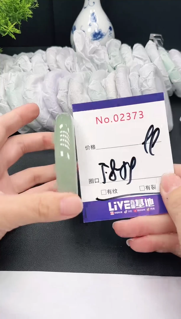未镶嵌手镯翡翠2373