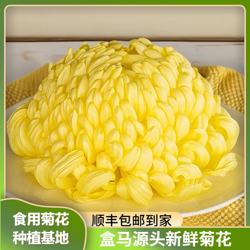 新鲜食用菊花黄绣球糖心菊可凉拌刺身特色食材