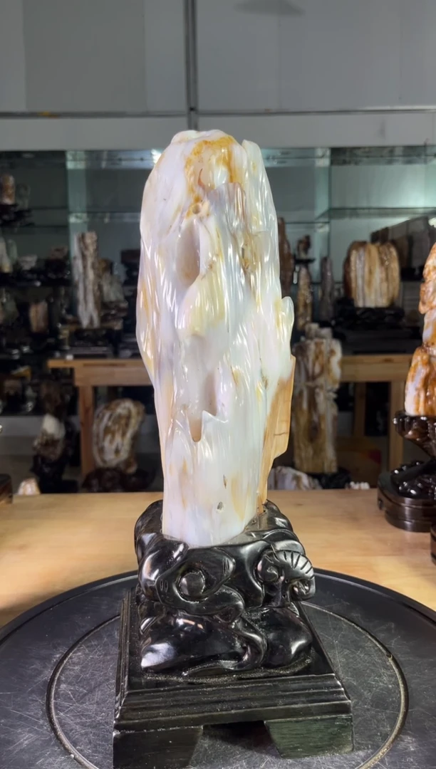 【闪购商品】硅化玉珠宝奇石未镶嵌1