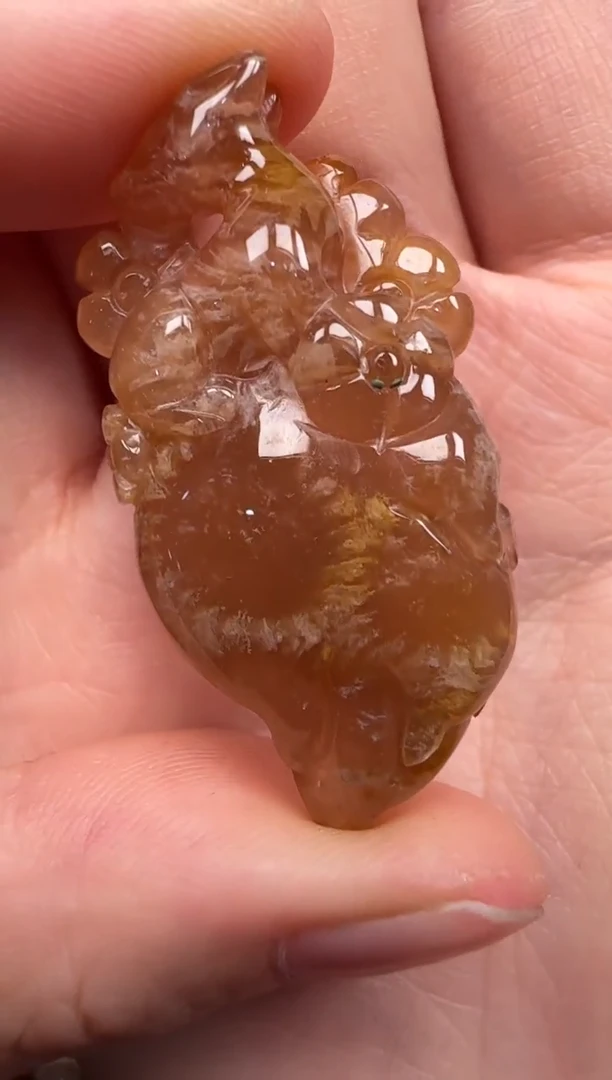 硅化珊瑚（珊瑚玉）未镶嵌颈饰356