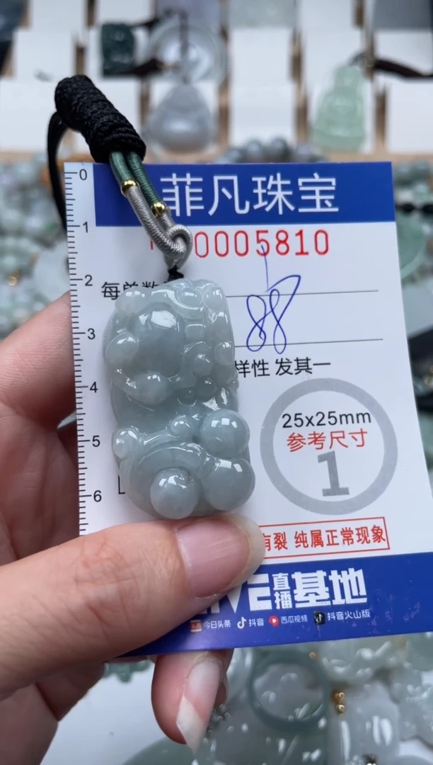 翡翠未镶嵌颈饰00..5810