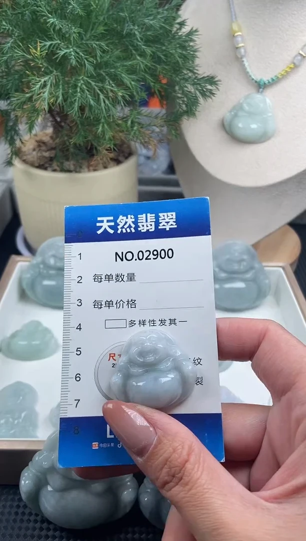 颈饰未镶嵌翡翠纯天然A货翡翠2900
