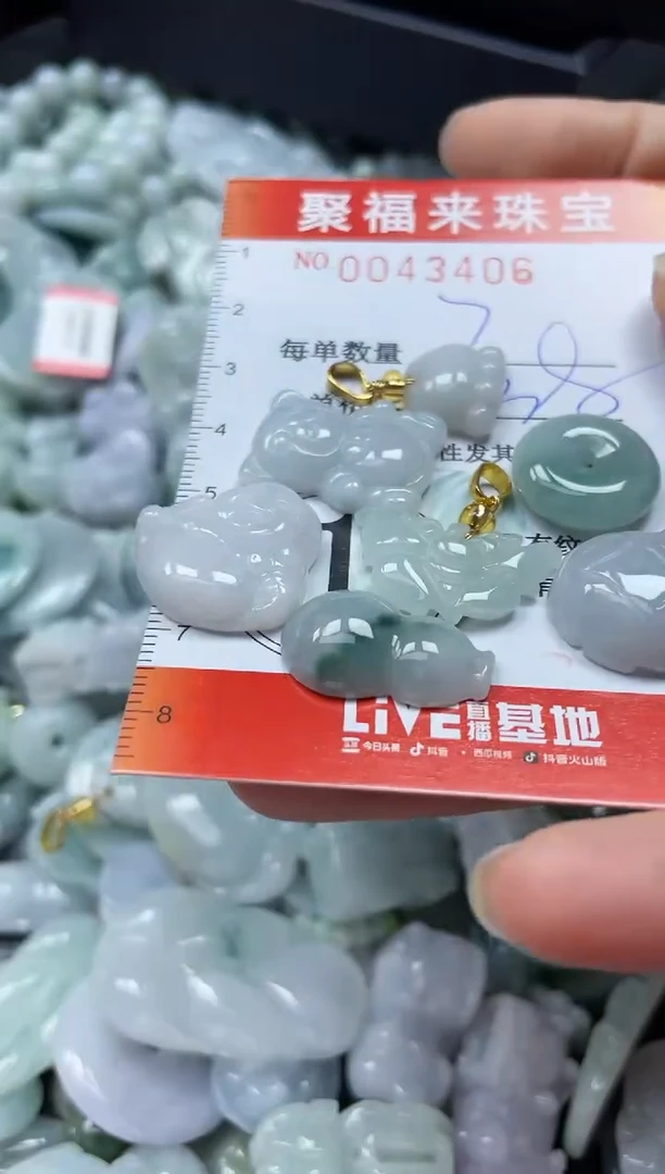 【闪购商品】翡翠颈饰未镶嵌闪购0043406