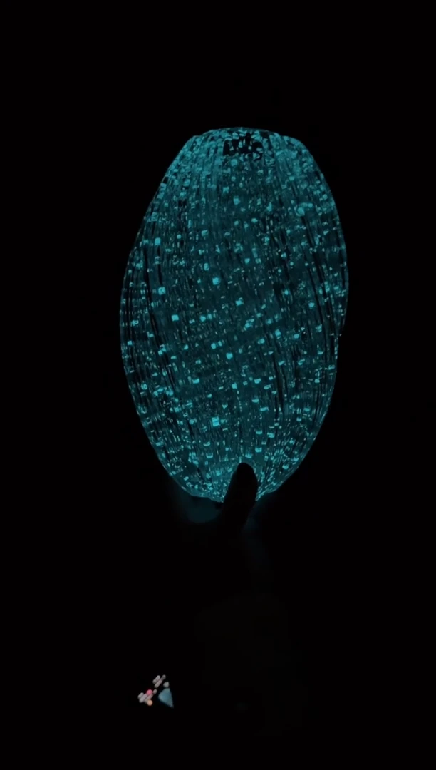 【闪购商品】无铅玻璃美全花器-i-早30