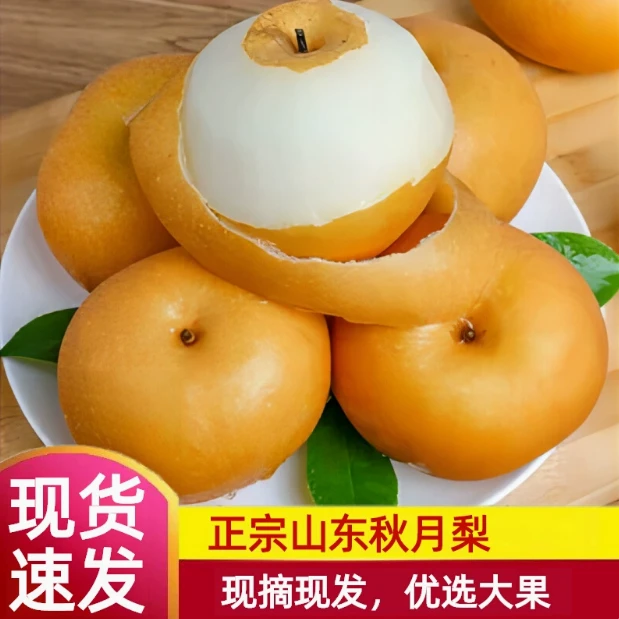 正宗秋月梨果王超大脆甜爽口细腻5斤装现摘现发源头产地果园直发