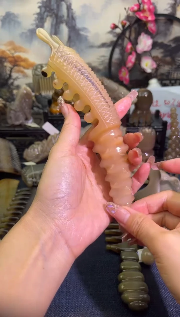 云南老白水白水按摩狗