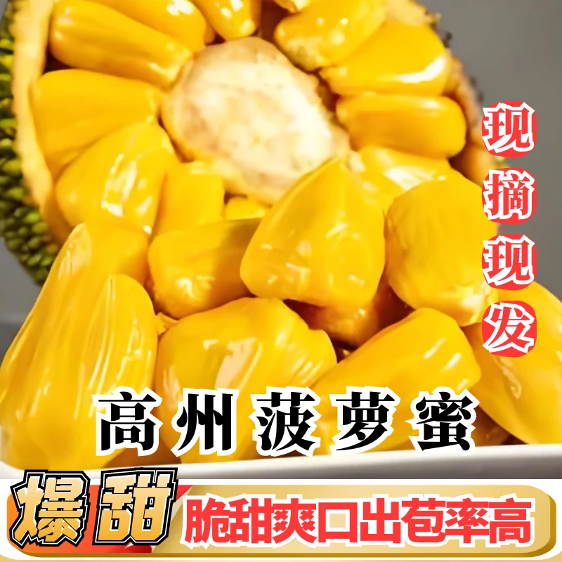 【高州妹甄选】高州菠萝蜜常有无胶菠萝应季水果珍珠菠萝脆甜水果