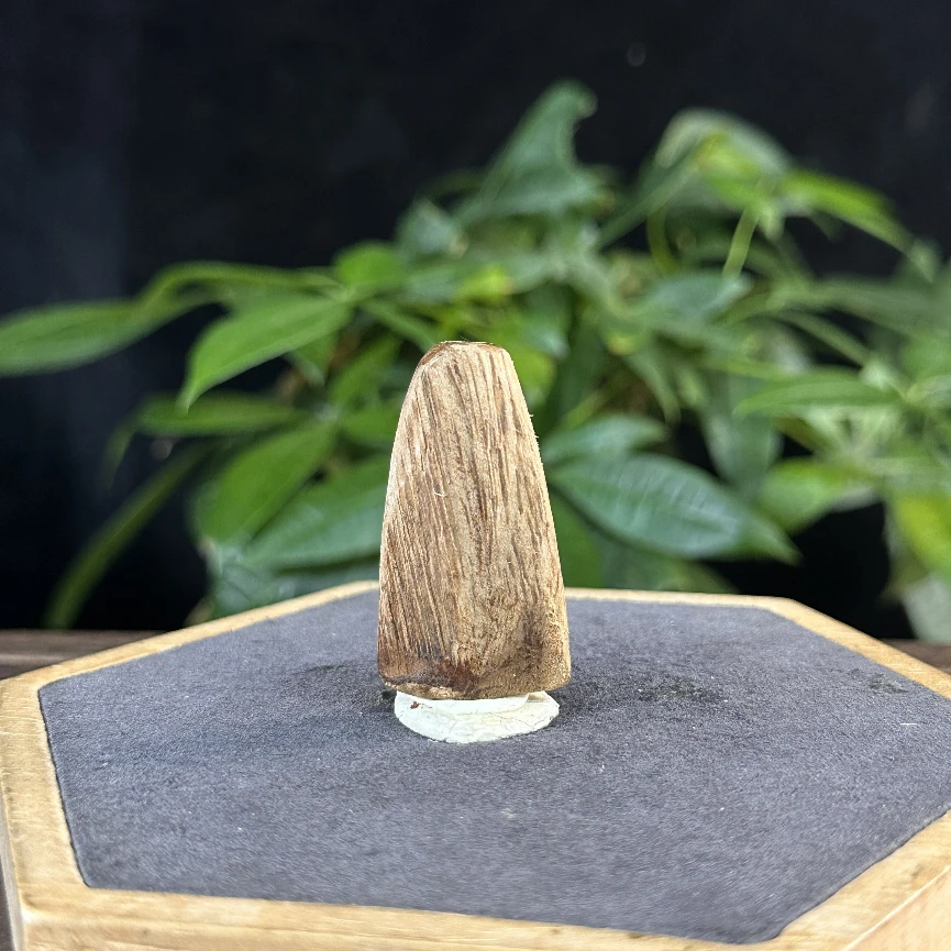 GXCX-3836 菲律宾原料2.7g 约：43*23*9mm
