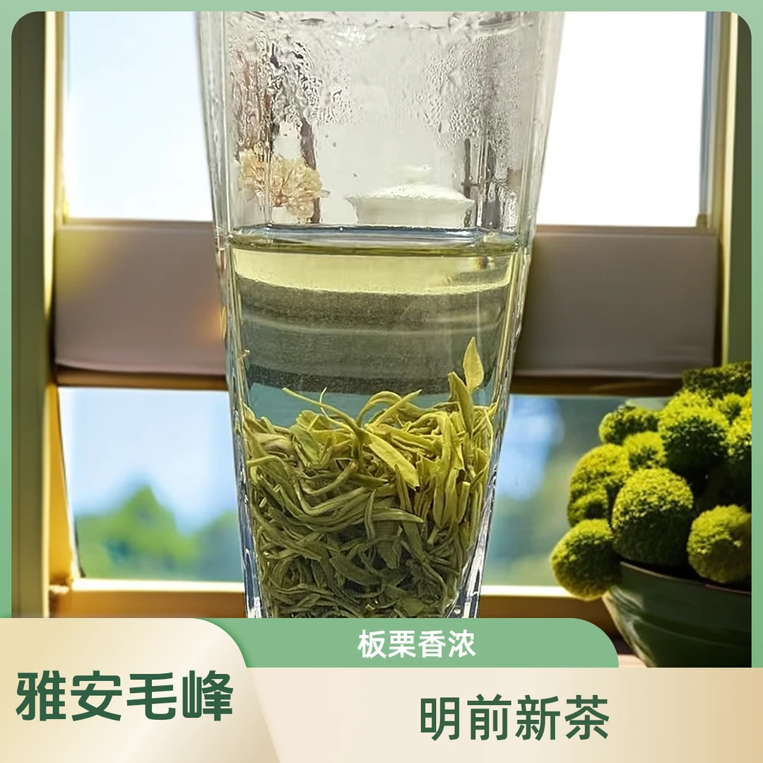 四川雅安蒙顶山毛峰绿茶2025明前新茶板栗浓香