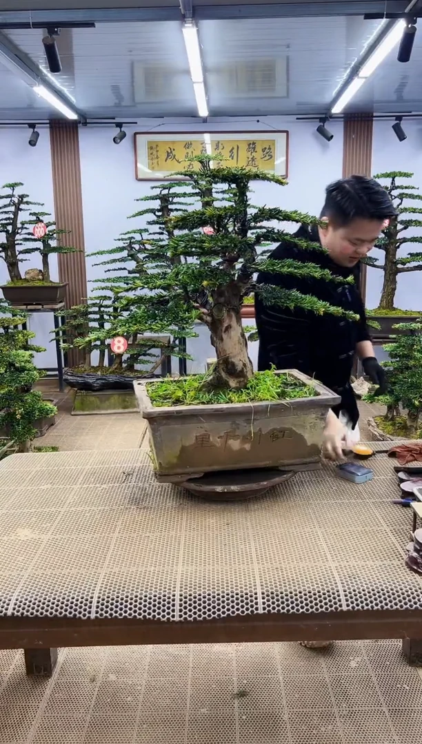 【闪购商品】0000000000