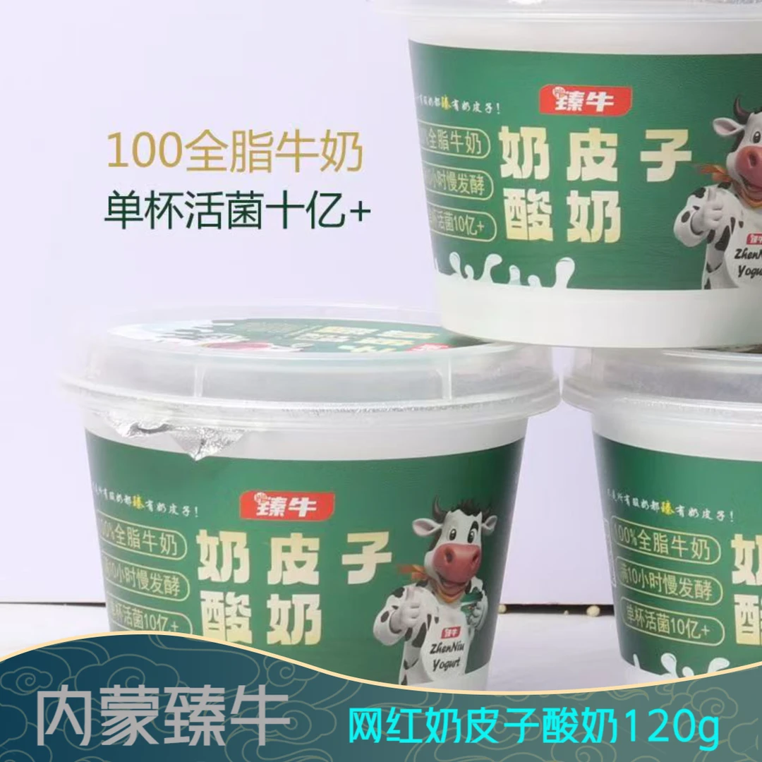 臻牛120g杯北京紫光园同款味道质感北京内蒙古正宗手工奶皮子酸奶