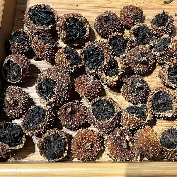 【贵妃甄选】干仓  刺梨熟茶 普洱熟茶 100g 原料2006年