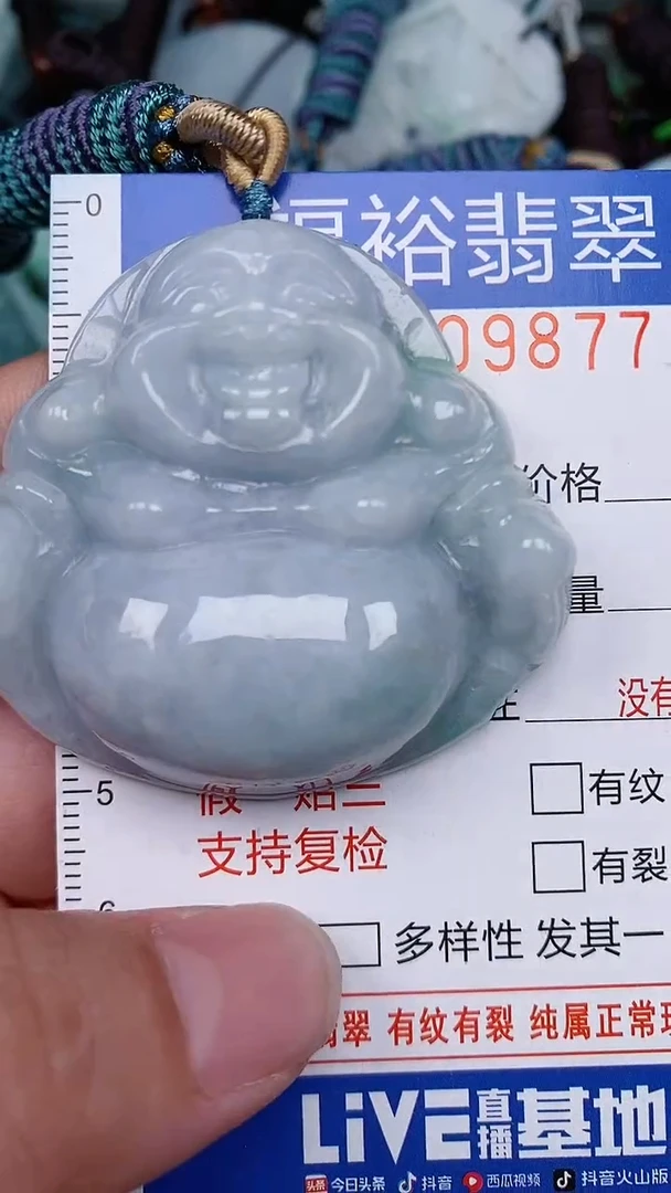翡翠未镶嵌颈饰...0009877