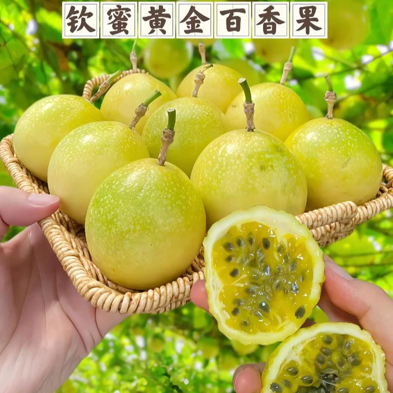 【产地直发】钦蜜9号百香果【普通快递】