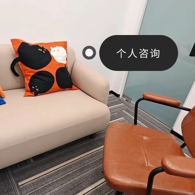 1V1线上/线下咨询预约/测试（可抵扣首次咨询费）