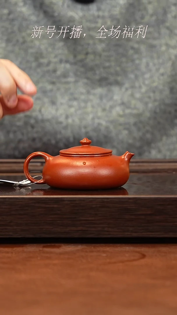 茶壶紫砂25y20小红泥寒江130cc