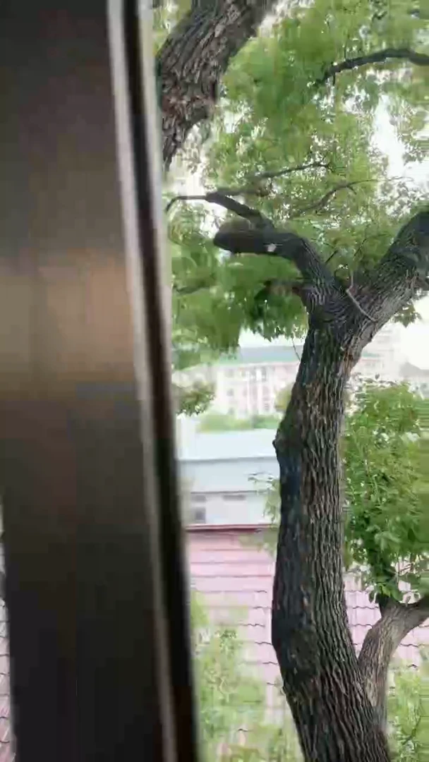 未镶嵌多样性发一件南红玛瑙7mm保山圆珠多圈