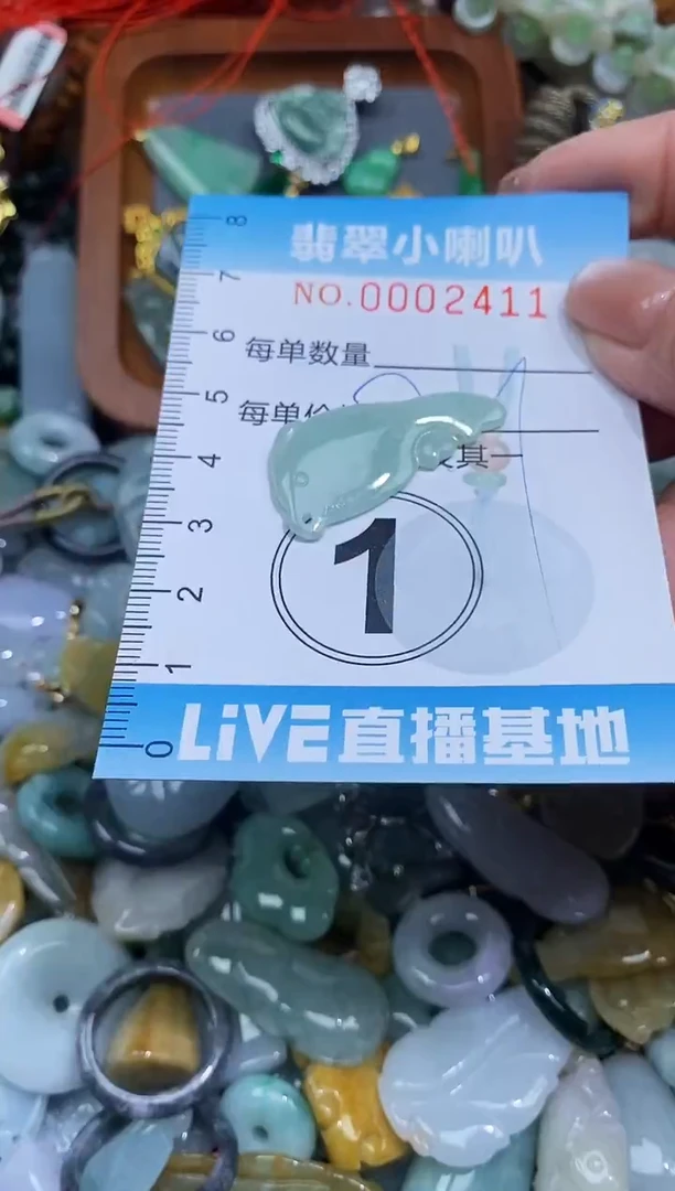 【闪购商品】翡翠颈饰未镶嵌闪购0002411