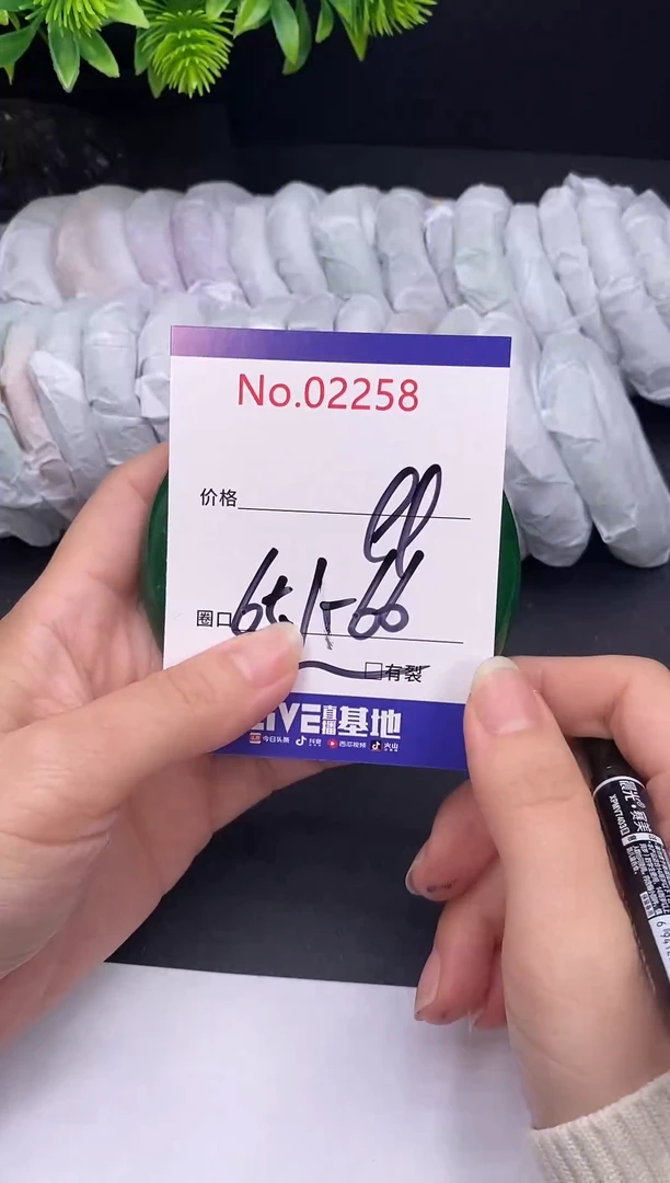 未镶嵌手镯翡翠2258