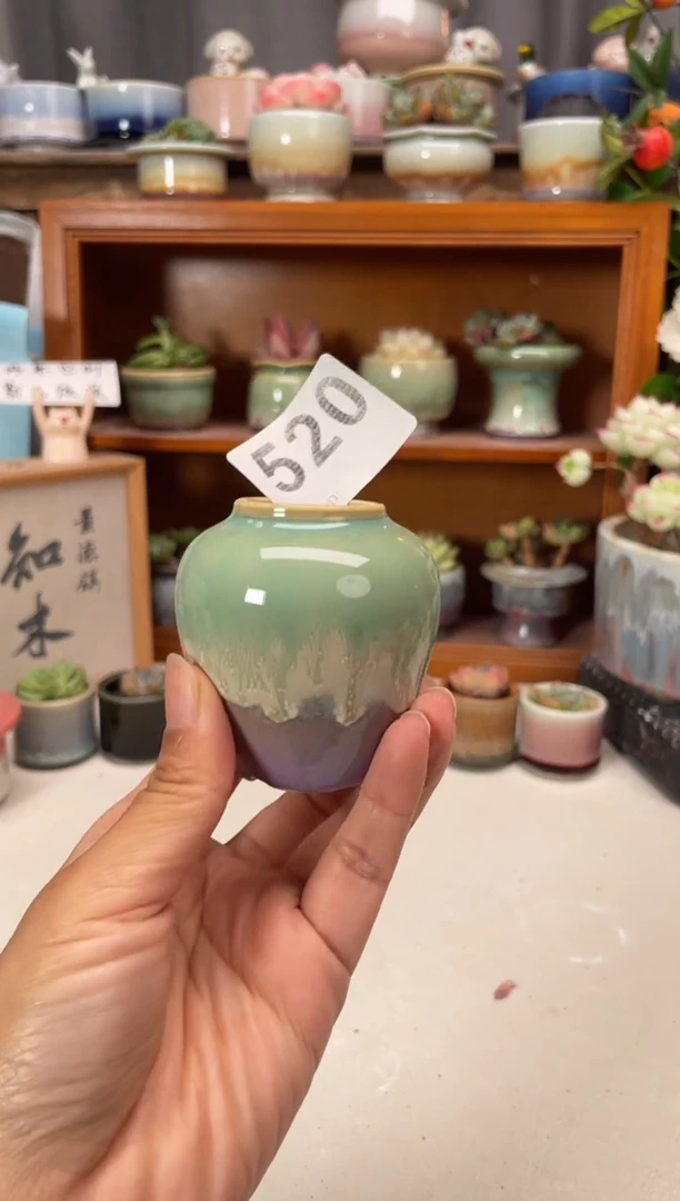 瓷片520知木小芳花盆
