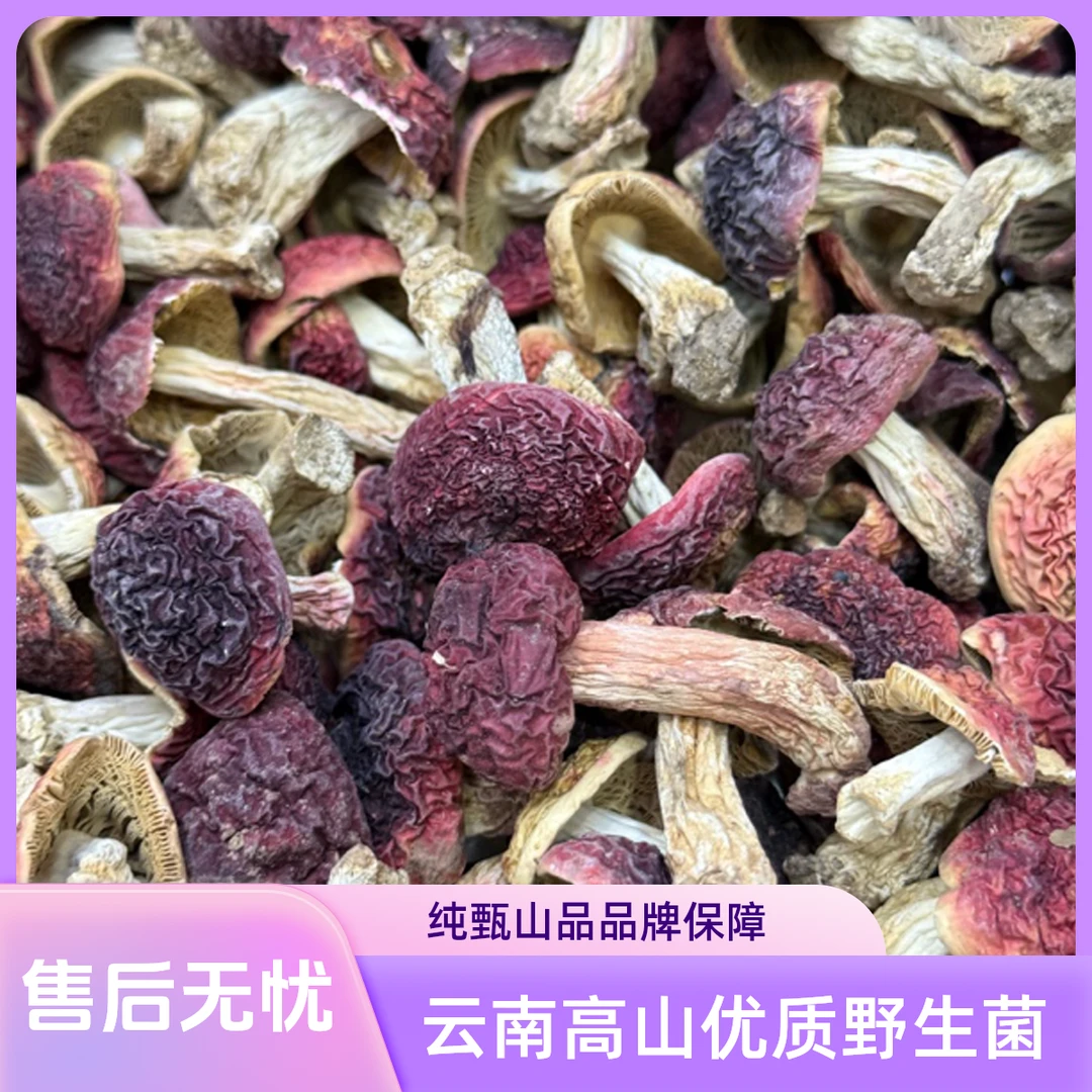 红菇干货云南深山特产月子菇营养丰富