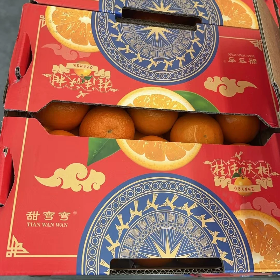 甜弯弯桂洁沃柑 5公斤