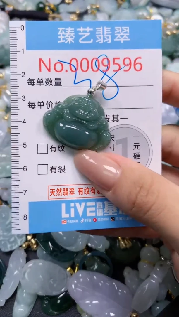 颈饰未镶嵌翡翠9596