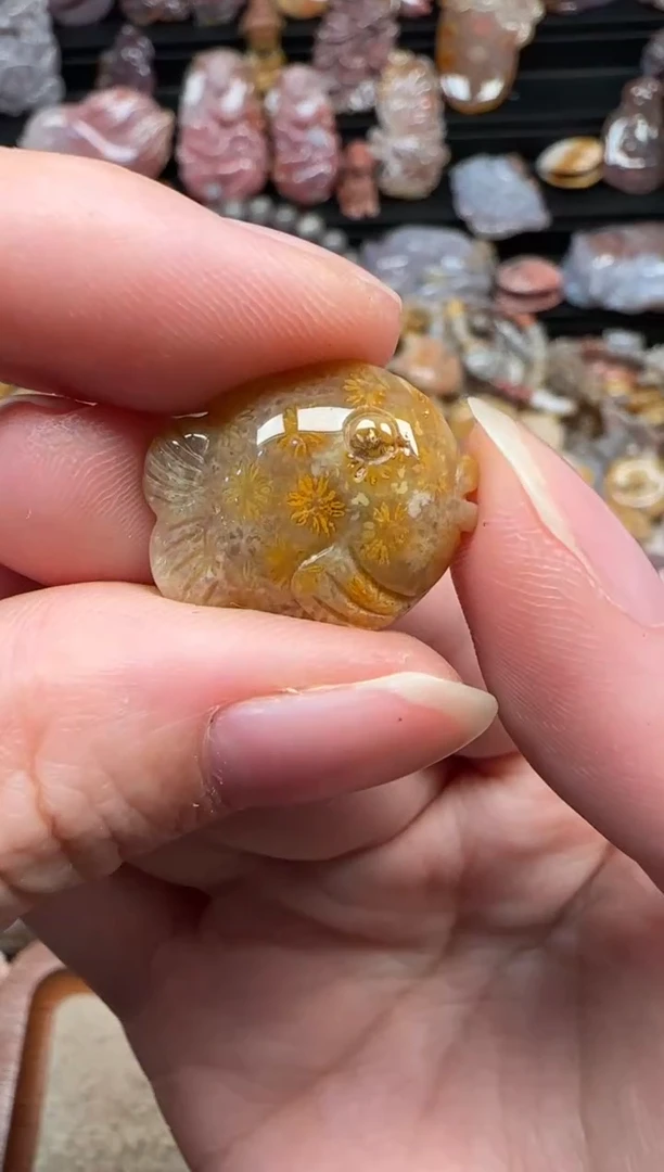 颈饰未镶嵌硅化珊瑚（珊瑚玉）059