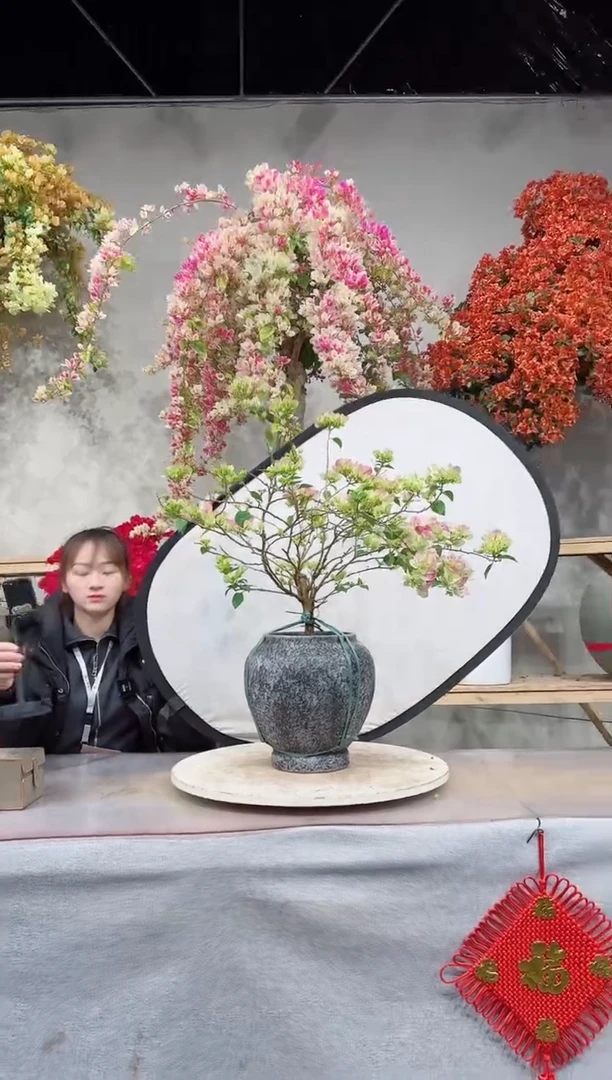 【闪购商品】盆景绿叶樱花