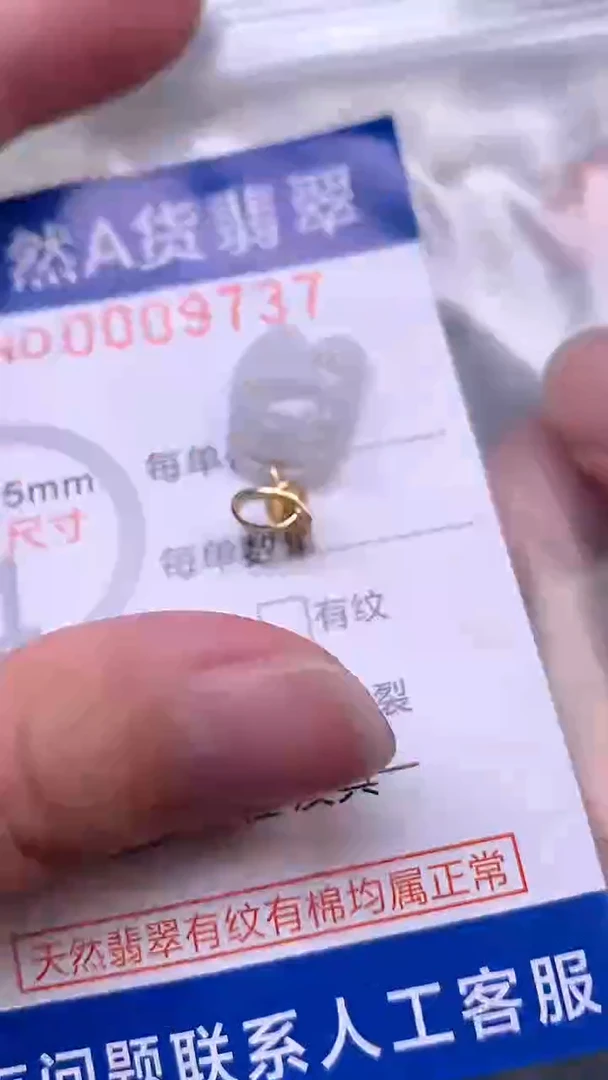 翡翠未镶嵌吊坠(不含链)1