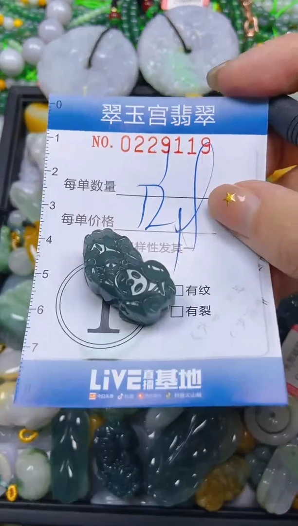 颈饰未镶嵌翡翠闪购C0229119