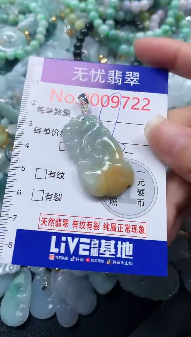 颈饰未镶嵌翡翠9722